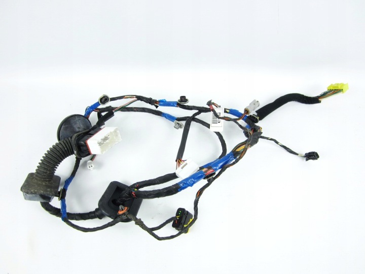 câblage portière avant avant droit Hyundai IX55
