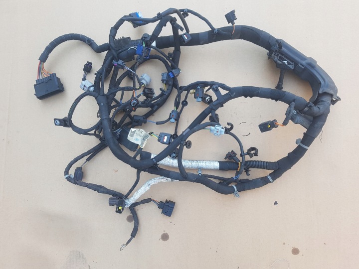 CABLAGGIO MOTORE USATO LAND ROVER L405 FPLA-9H589-CD