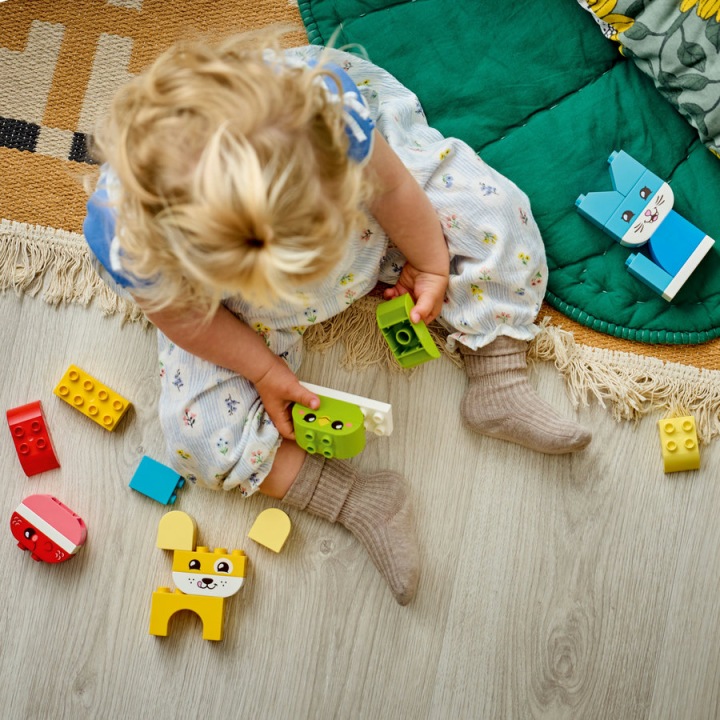 LEGO DUPLO Творчі тваринки 3 в 1 10477 — фото 10
