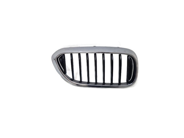 * BMW 5 G30 G31 Grill Kühlergrill salberk Nieren der Stoßstange vorne vorne rechts