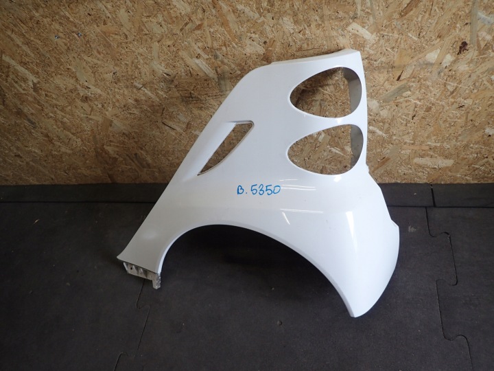 AILE ARRIÈRE GAUCHE SMART FORTWO A451 A4518820101