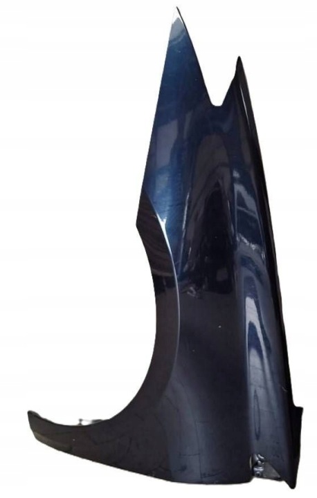 blatník předek levý RENAULT LAGUNA III STAN B.DOBRY W barva