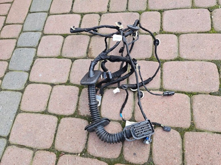 Kabelbaum kabelbaum kabelsatz Tür vorne Renault Captur II 2 241240737R