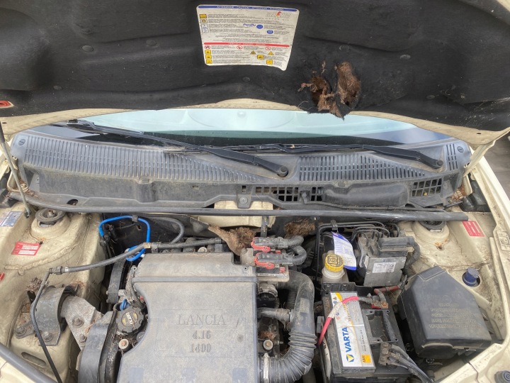 Lancia Ypsilon 03-09 Wasserkastenabdeckung Wasserkasten