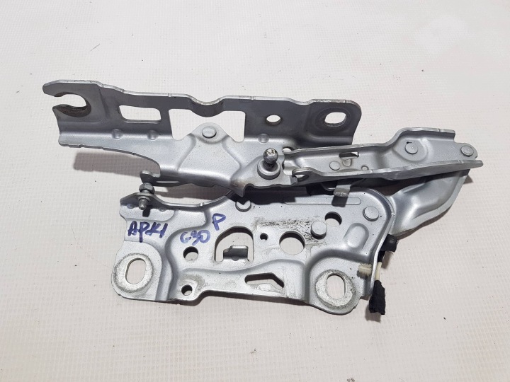 cerniera del cofano destra anteriore anteriore BMW 5 G30 G31 7347408