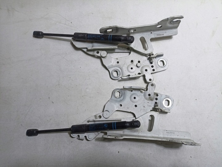 zsanér motorháztetök BMW 3 F30 2014 7336699
