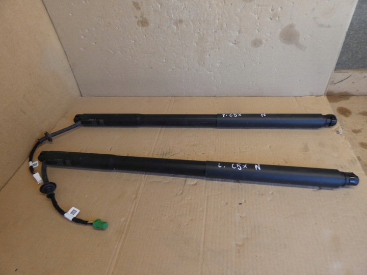 Vérins de coffre hayon du capot CITROEN C5X C5 X 9857142480 9857142380