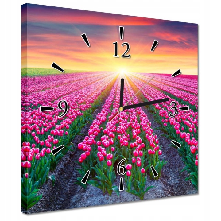 Hodiny 30x30 Moře tulipánů Květiny