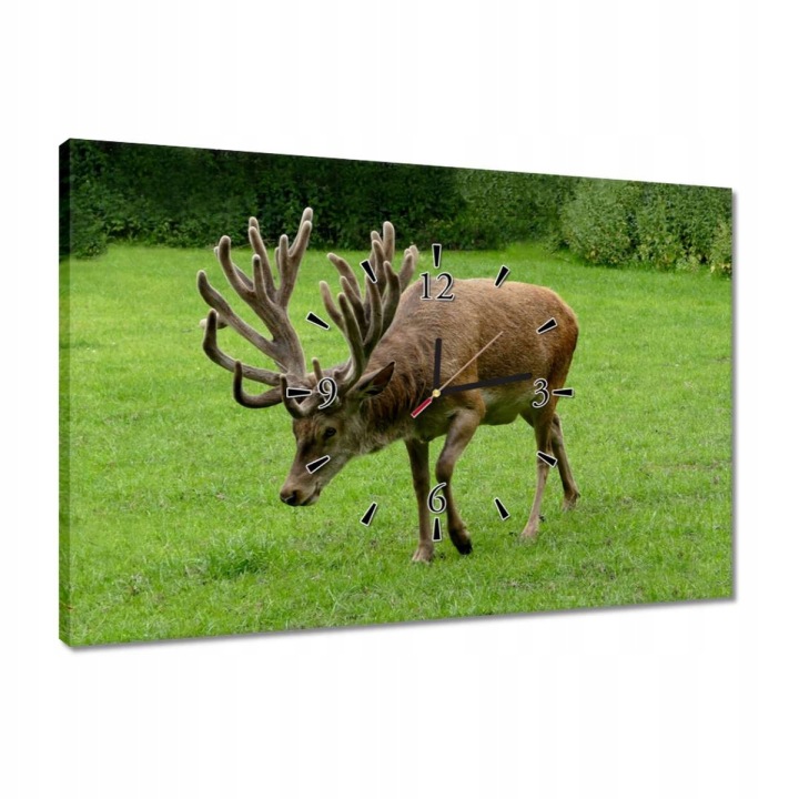 Hodiny 60x40 Jelen Paroháč