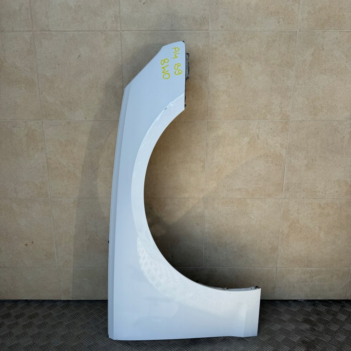 fender front right AUDI A4 B9 8W0 2019 ROK