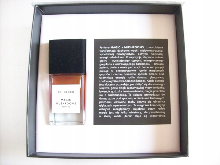 bohoboco magic mushrooms