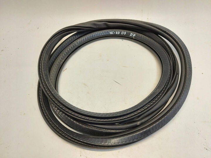 VOLVO XC40 D3 guarnizione PORTA Portiera Anteriore Destro