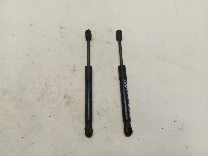 BMW G05 X5 3.0d 2019r Motore telescopico del cofano 7418188