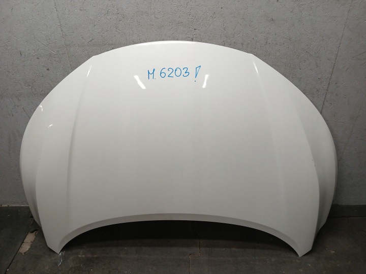 Capot NISSAN JUKE II 2 F16 19