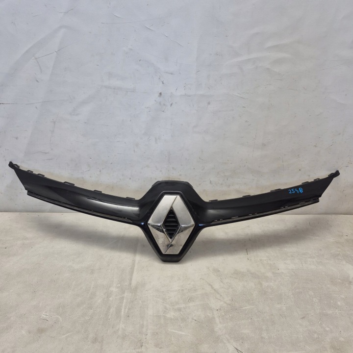 RENAULT CLIO V 5 19-23 moulding grill grille