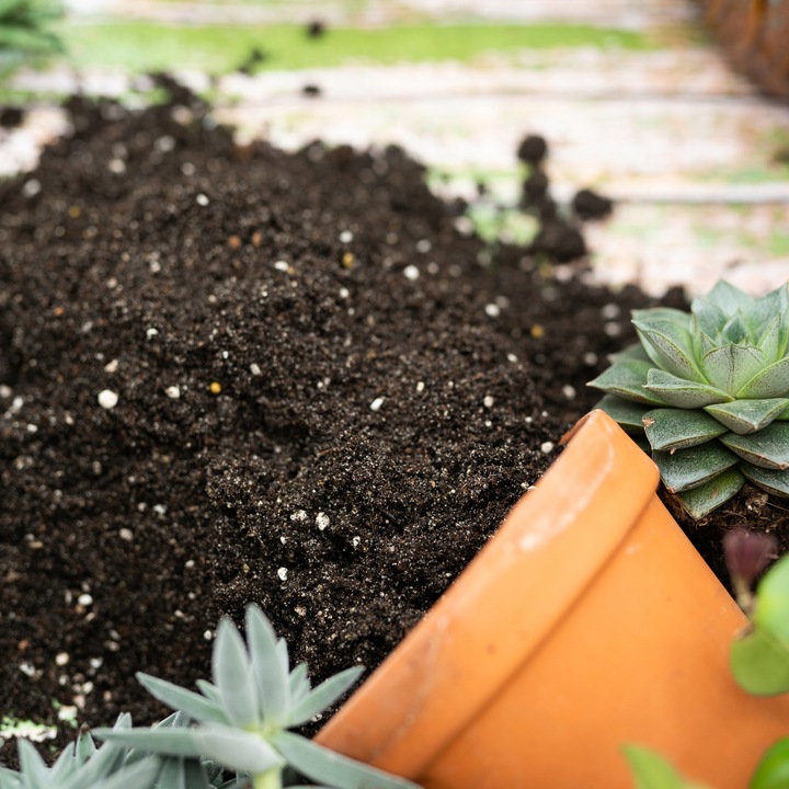 Субстрат орхидея. Субстрат. Почвенная смесь. Смесь субстрата. Смесь субстрата.