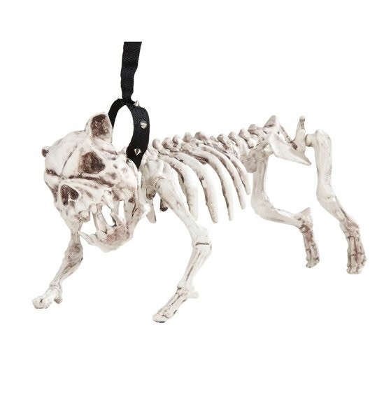 Kostra Psa Kostlivec Halloween Horor