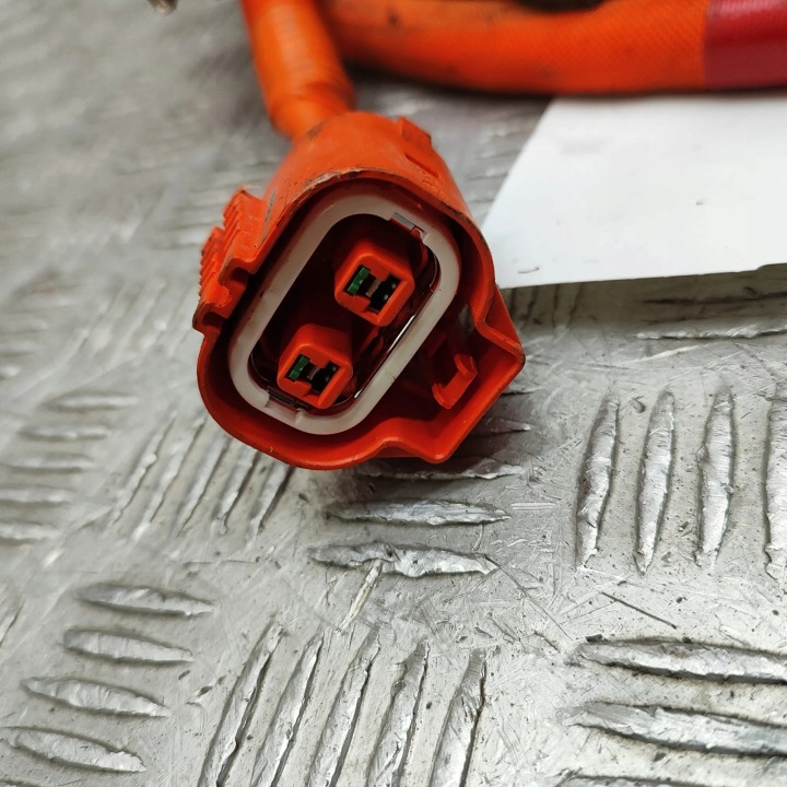 BATERIA CABEL BYD TANG 1306179200 29903385 380kw 2023 9