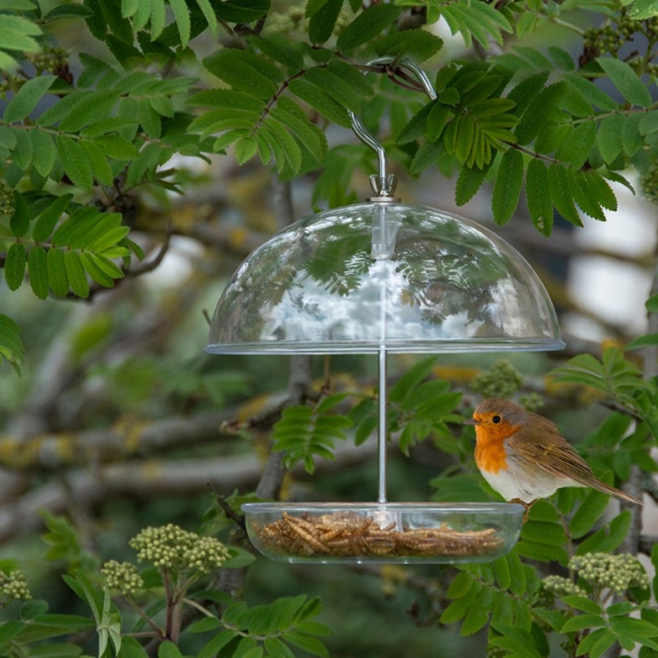 Karmnik dla Ptaków Wiszący do Powieszenia Transparentny Esschert Design Producent Esschert Design