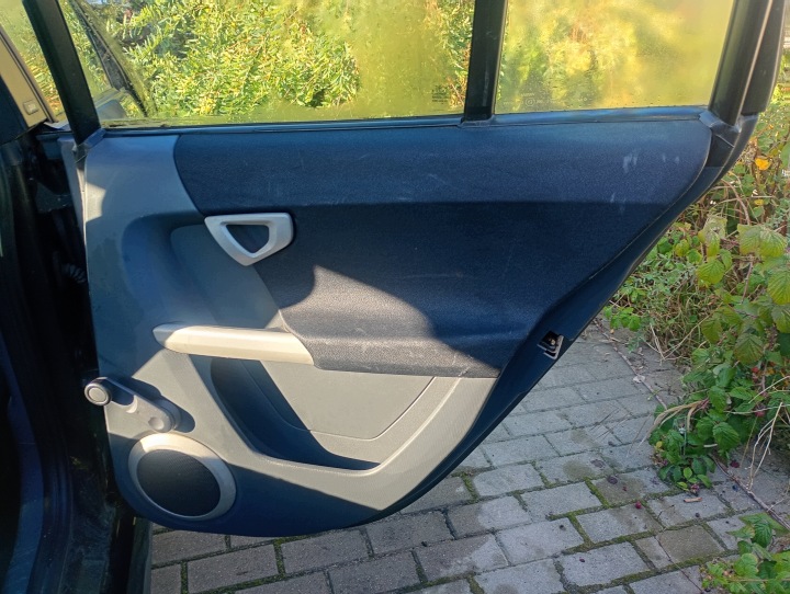 pannello porta portiera destro laterale / lato destra posteriore posteriore Smart Forfour 454 04-06