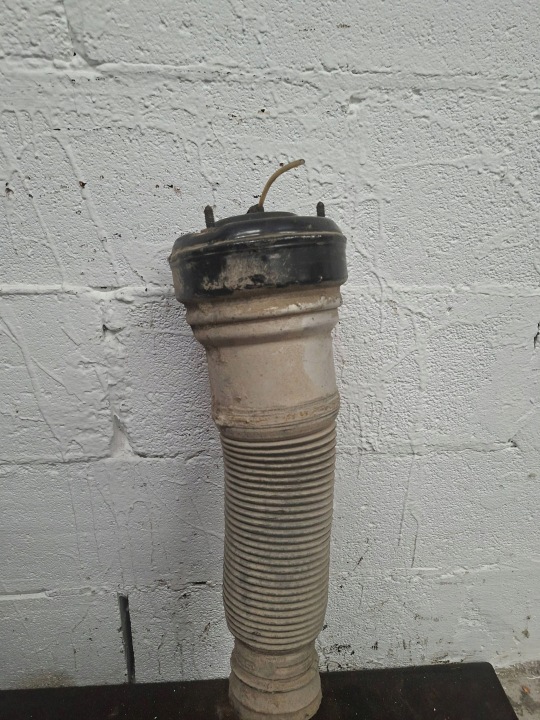 Pneumatic shock absorber Mercedes-Benz S W220 11