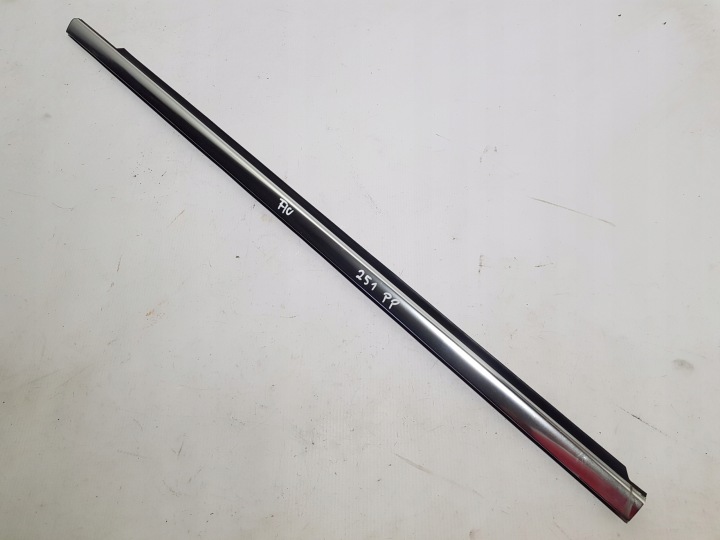 moulding door right front dust CHROM MERCEDES W251