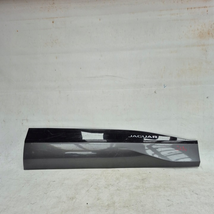 JAGUAR and-PACE X590 18- moulding door right front front J9D3-21064-A