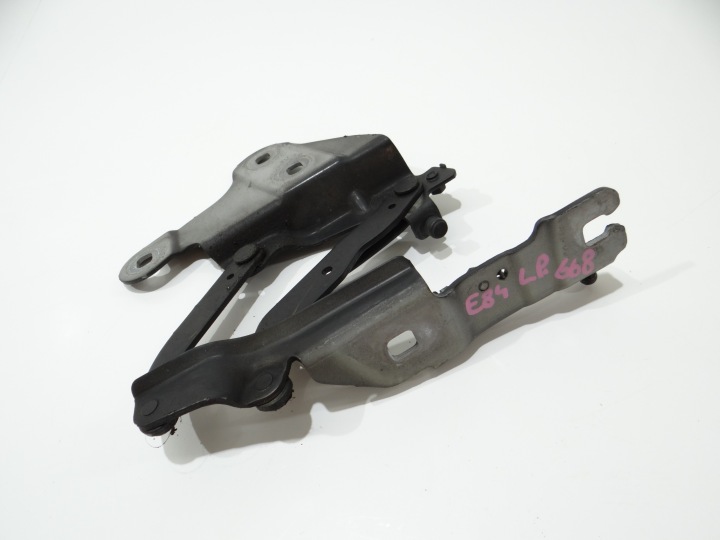 Scharnier der Kühlergrill links BMW X1 E84 2990359 668