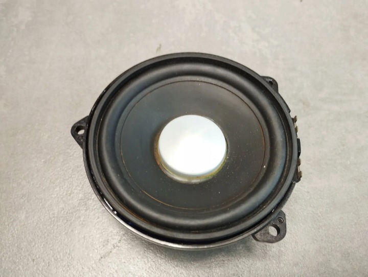 Land Rover Range Rover Sport L320 Lautsprecher Tür BH2218808FA