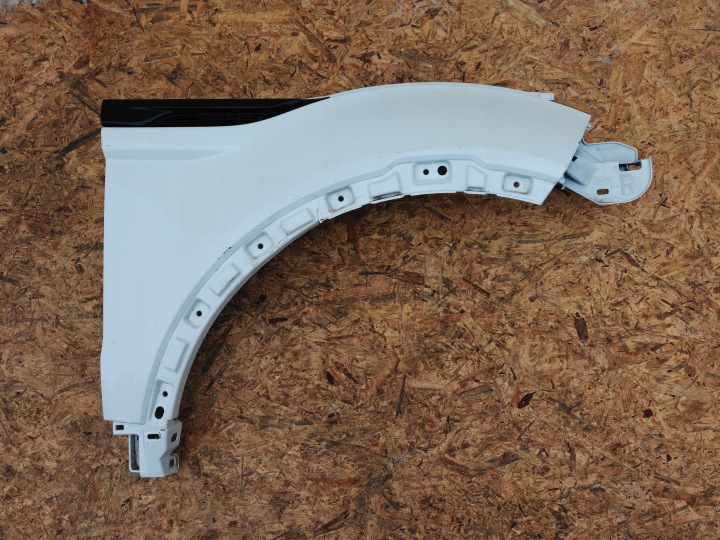 Kotflügel rechts vorne LAND ROVER RANGE ROVER EVOQUE L538 LIFT BJ32-16005-AG
