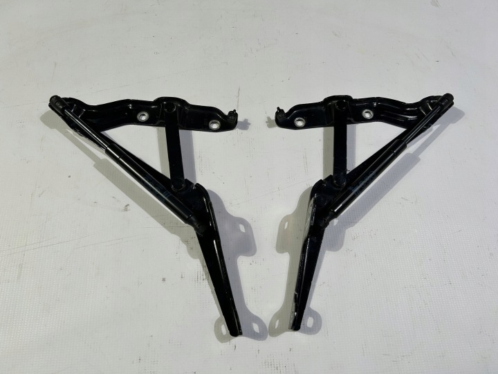 Cerniere del cofano PORTELLONE COFANO POSTERIORE PISTONI PORTELLONE sinistra Destra Chevrolet Camaro Cabrio 2009r