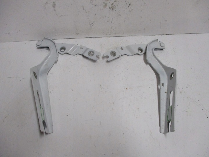 Scharnier der Kühlergrill VW Polo 2G0 2G0823301G links