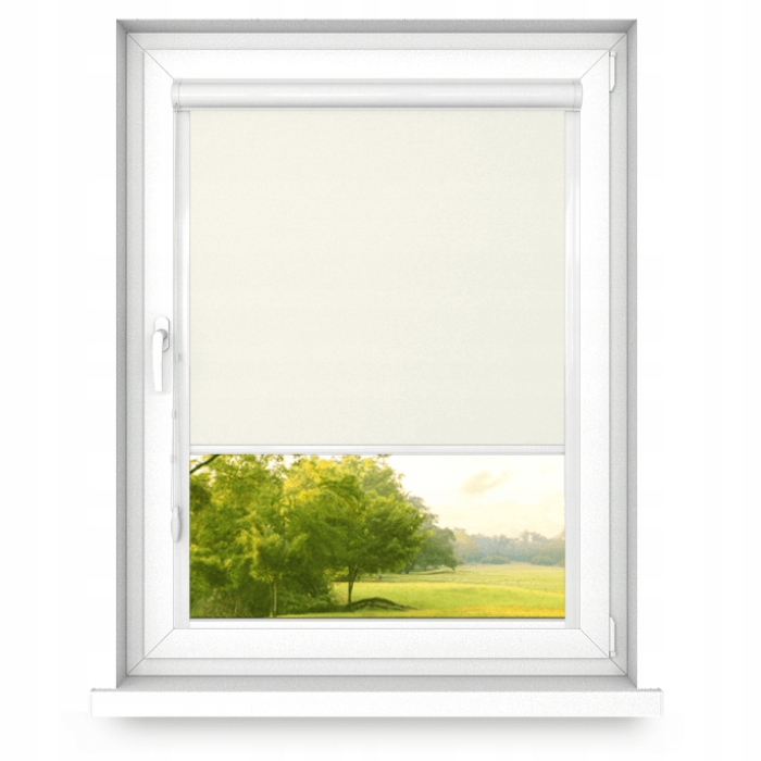 Roleta v Aluminiové kazetě s vodítky 40x50