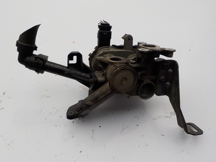 CITROEN C4 II 1.6 BLUE-HDI ORG EGR valve 9807369980 02