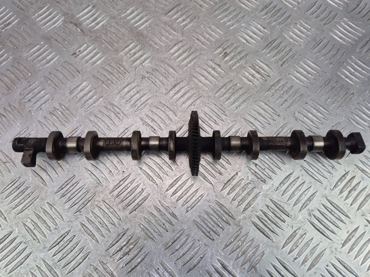cam MIMOSRODOWY BMW X1 E84 28i 77589883 N20B20A