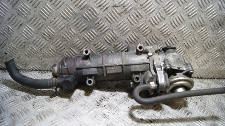 radiator EGR FIAT DUCATO 3 3.0D 504136967