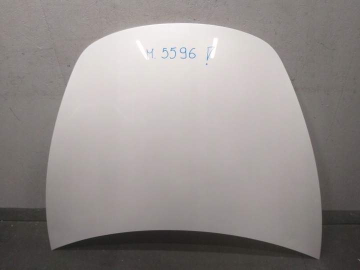 motorhaube TESLA III 3