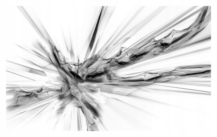 Fototapeta Abstraktní linie, černobílá vinylová geometrie 254x184 lepidlo