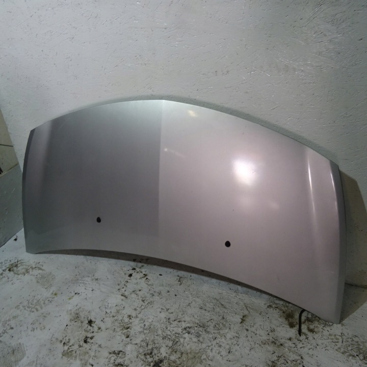RENAULT CLIO III Cofano TED69