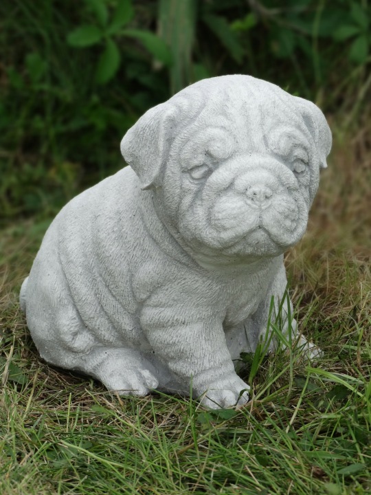 Figurka Pes Mops figurky z betonu pejsek zahradní ozdoba