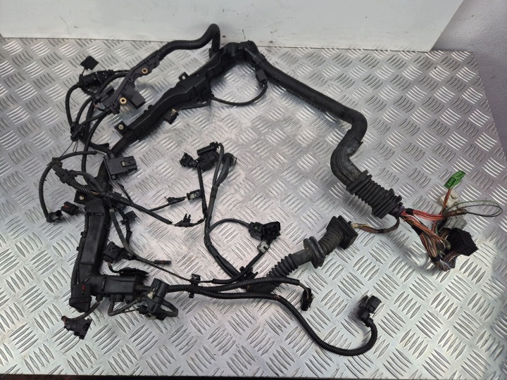 bundle of the engine BMW X5 E70 30d 7809171 N57D30A