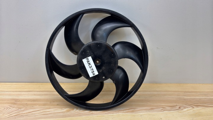 Kühlergebläse SMIGLO PEUGEOT 207 9140312 PAK3/754