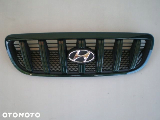 Hyundai Terracan 01-04r. maska