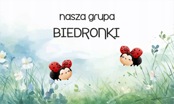Magnetická maskovací podložka na radiátor do školky Biedronky 60x100