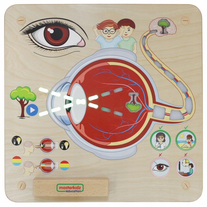 DREWNIANA TABLICA MANIPULACYJNA MONTESSORI MASTERKIDZ GRA ZMYSŁ WZROKU Marka Masterkidz
