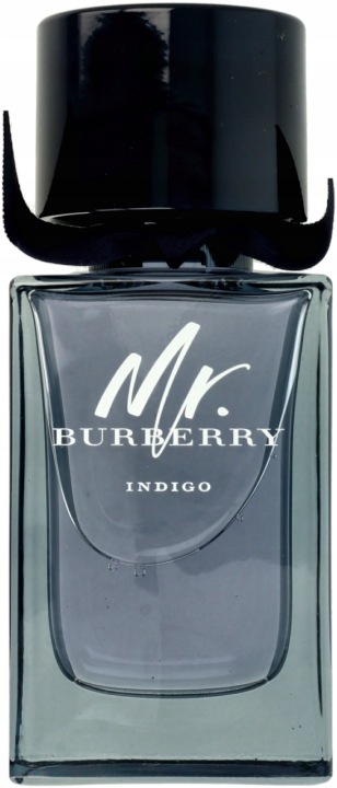 burberry mr. burberry indigo