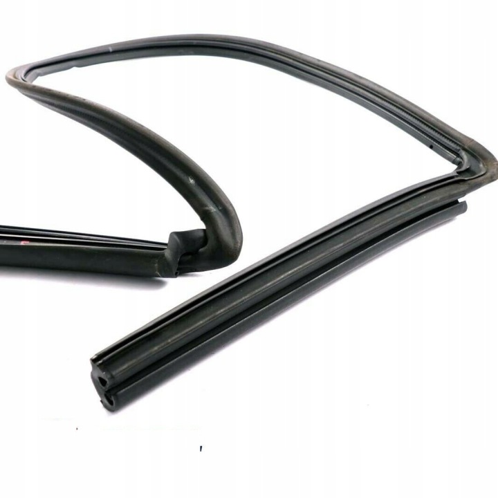 BMW E88 Σφραγίδα οροφής 7174784 10