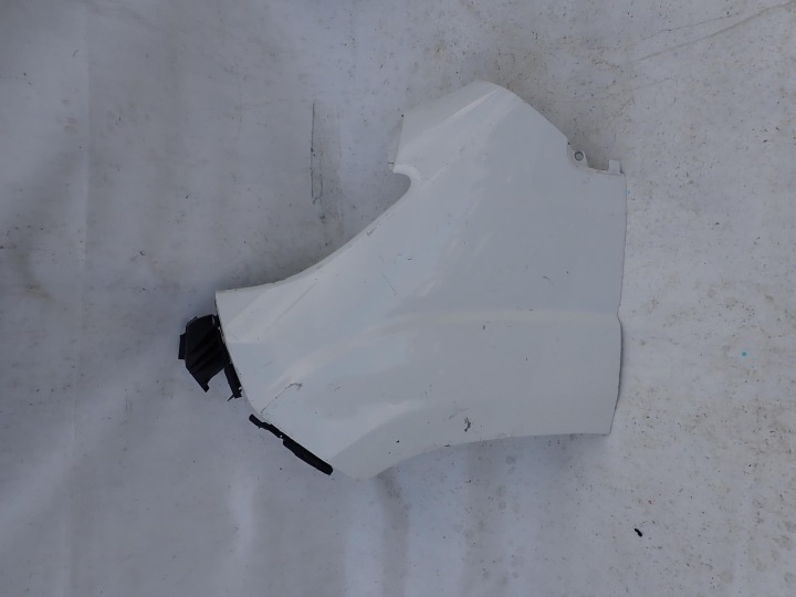 FIAT DUCATO III 3 LIFT 14-> Kotflügel vorne links