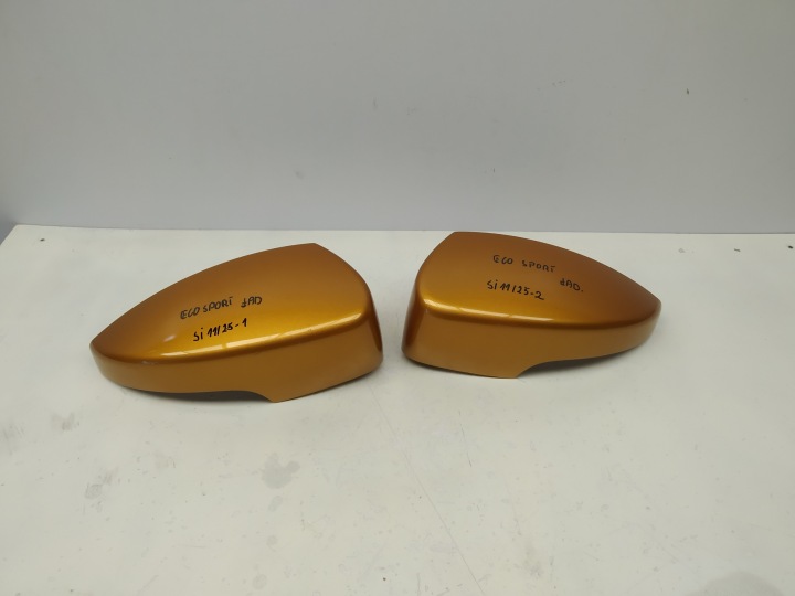 Ford Ecosport II Mk2 SCATOLA Copertura SPECCHIETTO RETROVISORE sinistra Destro FN15-17K746 zlota