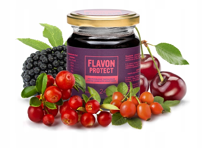 Flavon Protect банка 240 г